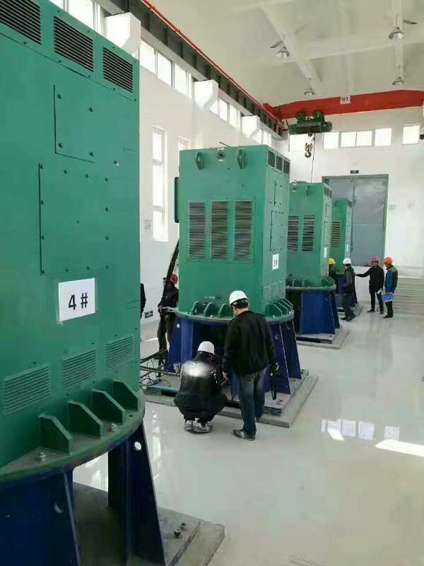 铜仁某污水处理厂使用我厂的立式高压电机安装现场